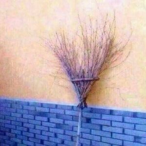 Meet your Posher, Eva